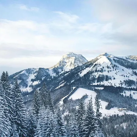 Lejlighed In Bayrischzell